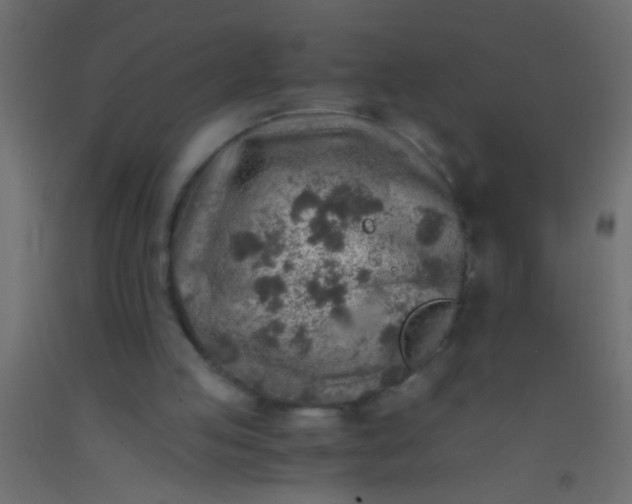 X0000093100053200710101546