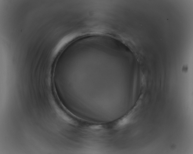X0000093100054200710101546