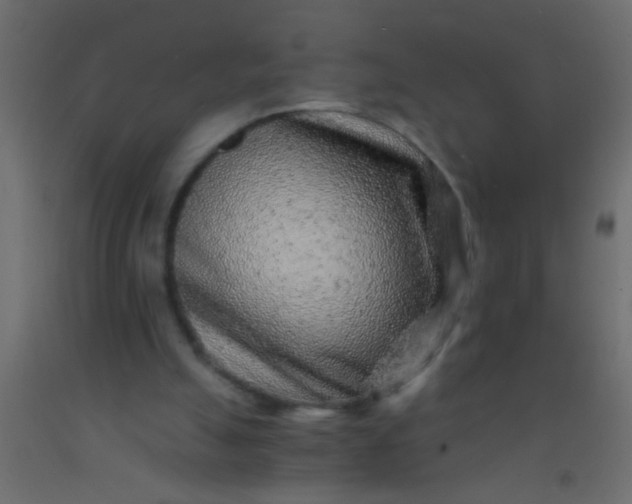X0000093100055200710101546