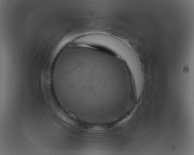 X0000093100056200710101546