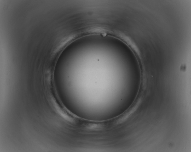 X0000093100057200710101546