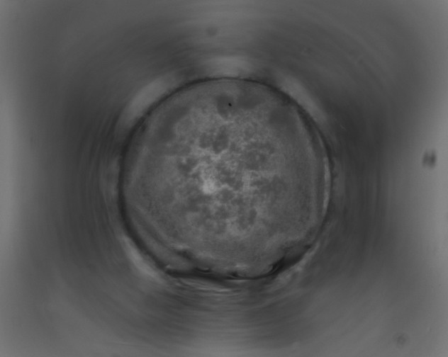 X0000093100058200710101546