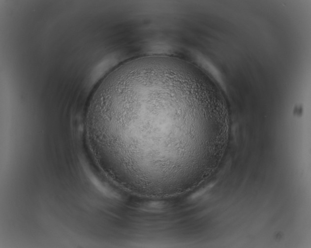 X0000093100059200710101546