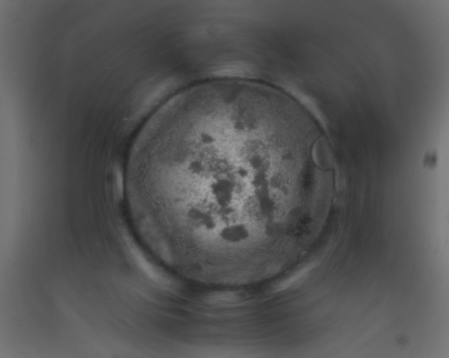 X0000093100061200710101546