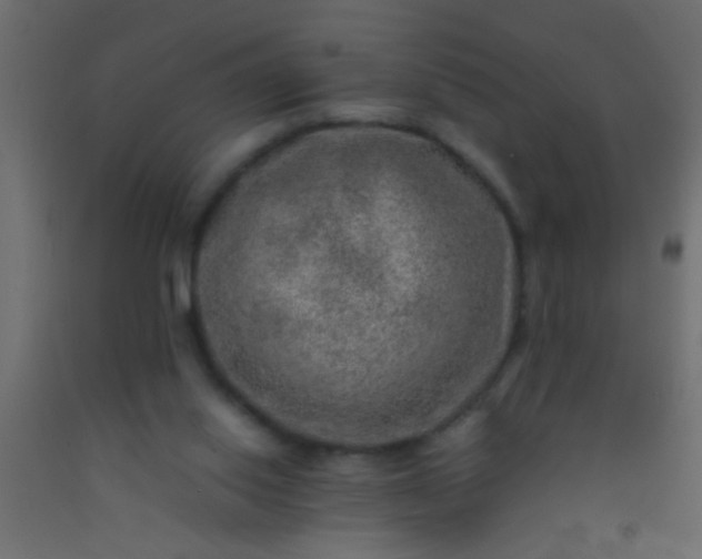 X0000093100062200710101546