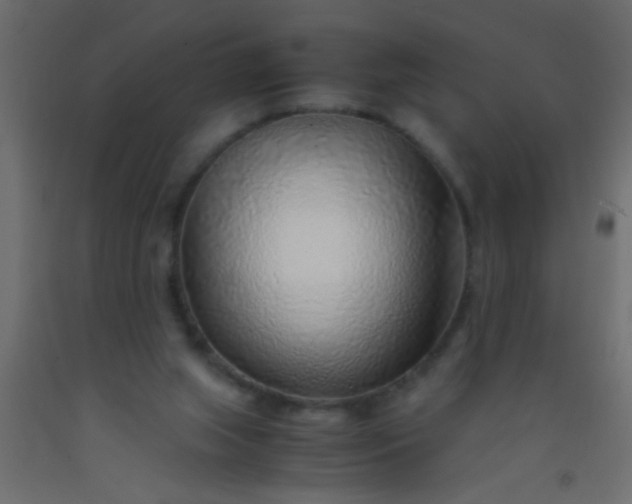 X0000093100063200710101546