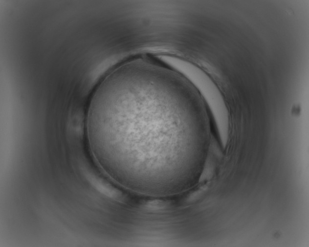 X0000093100064200710101546