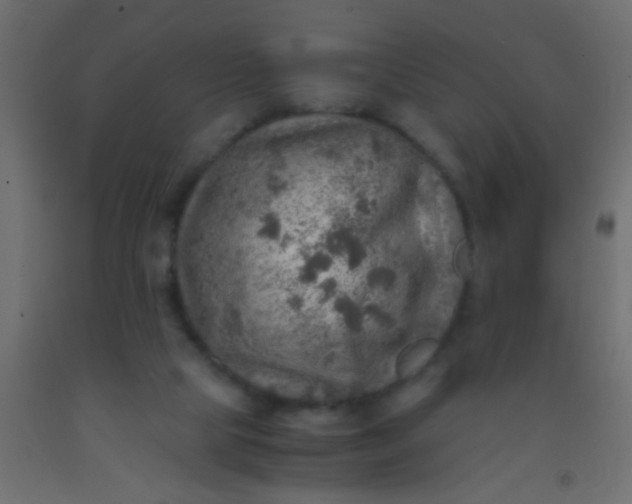 X0000093100065200710101546