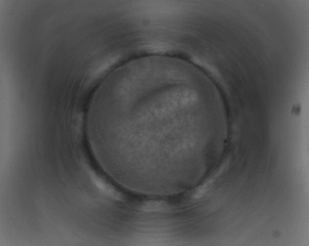 X0000093100066200710101546