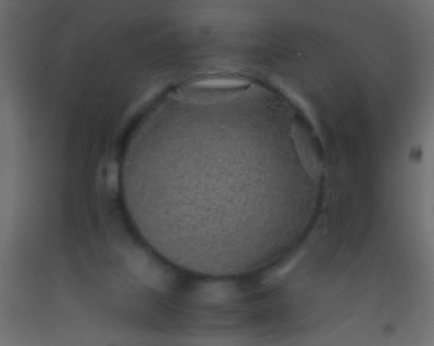 X0000093100067200710101547