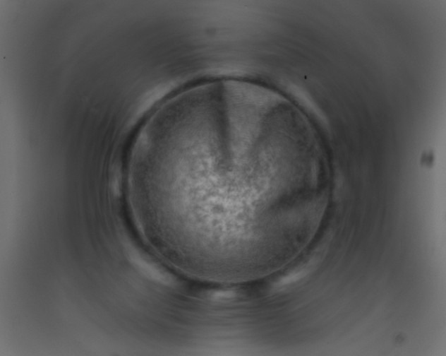 X0000093100068200710101547