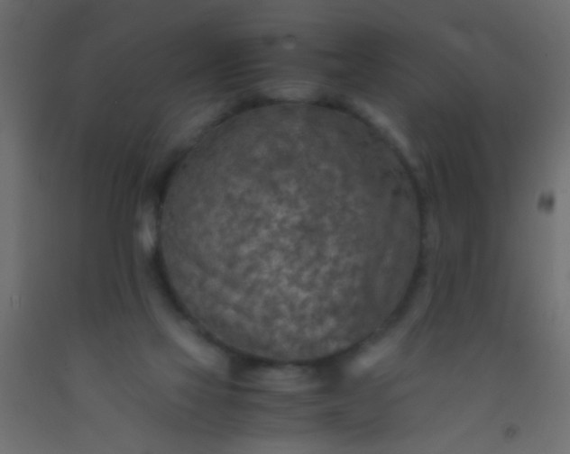 X0000093100069200710101547