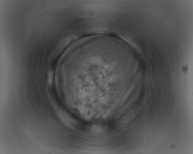 X0000093100070200710101547