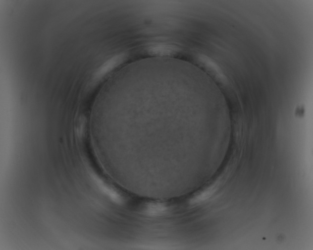 X0000093100071200710101547