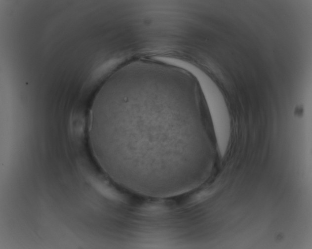 X0000093100072200710101547