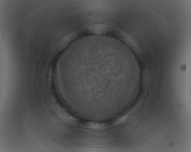 X0000093100073200710101547