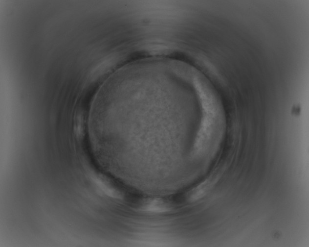 X0000093100074200710101547