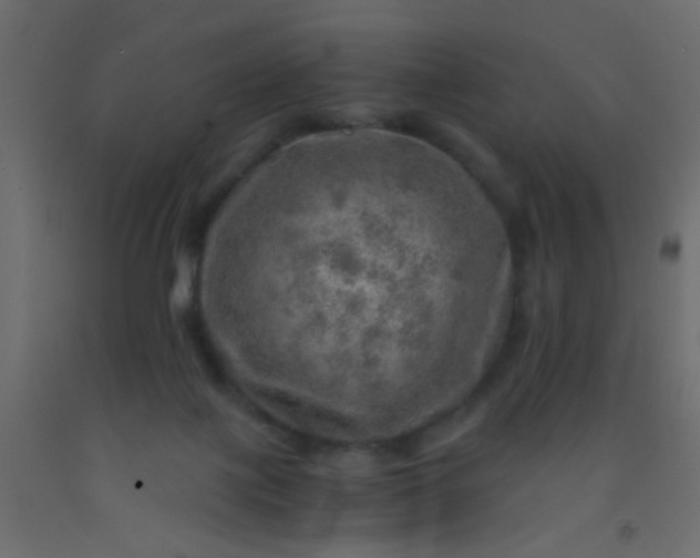 X0000093100075200710101547