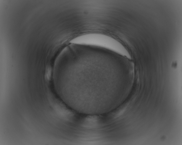 X0000093100076200710101547