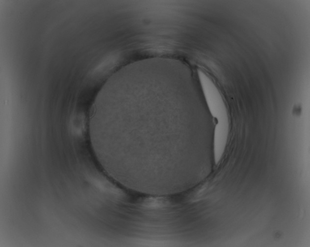 X0000093100077200710101547