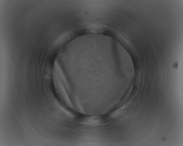 X0000093100078200710101547