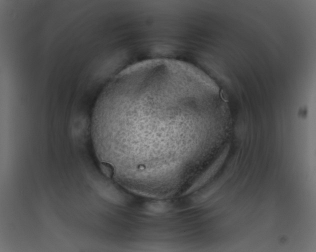 X0000093100079200710101547