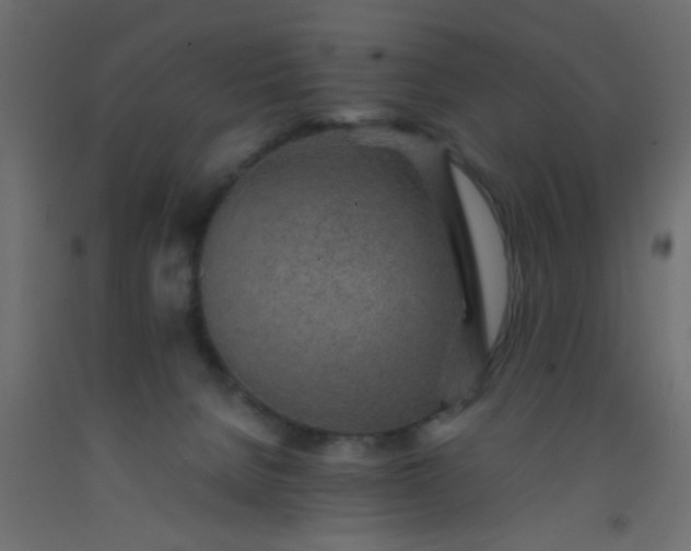 X0000093100080200710101547