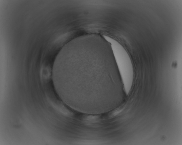 X0000093100081200710101547