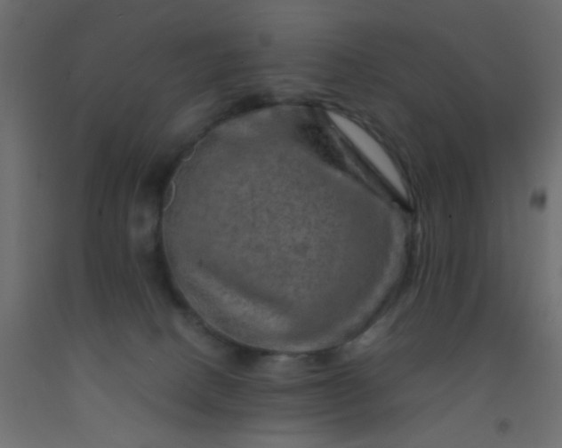 X0000093100082200710101547