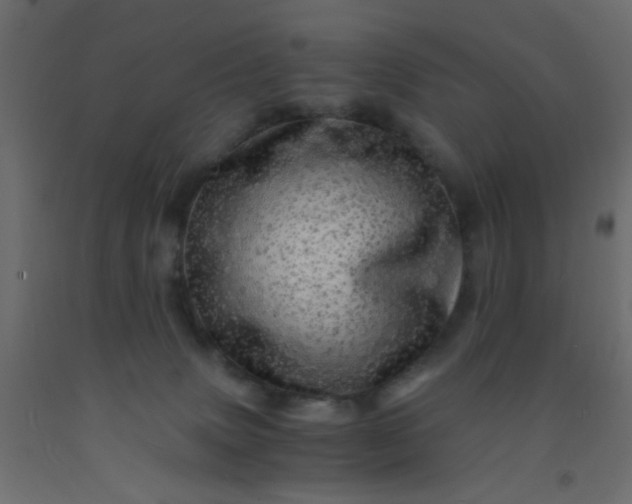 X0000093100083200710101547