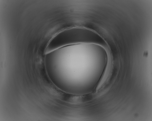 X0000093100084200710101547