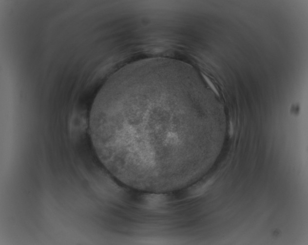 X0000093100085200710101547