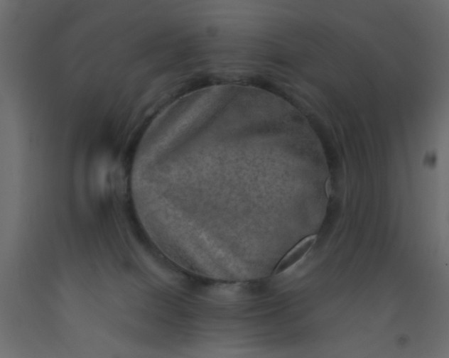 X0000093100086200710101547
