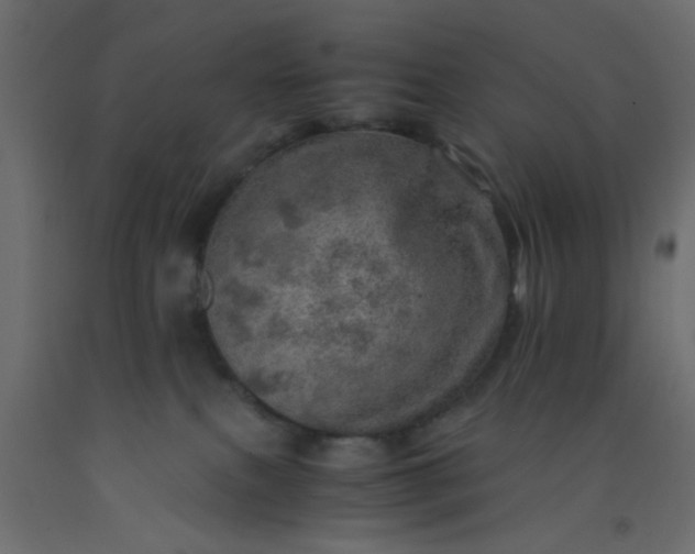 X0000093100087200710101547