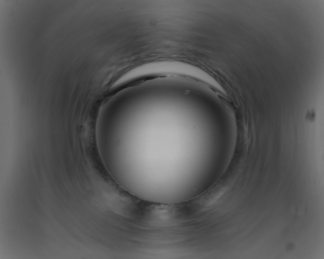 X0000093100088200710101547