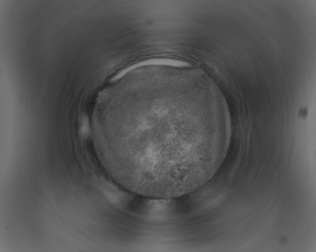 X0000093100089200710101547