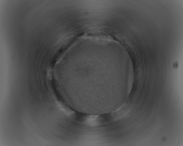 X0000093100090200710101547