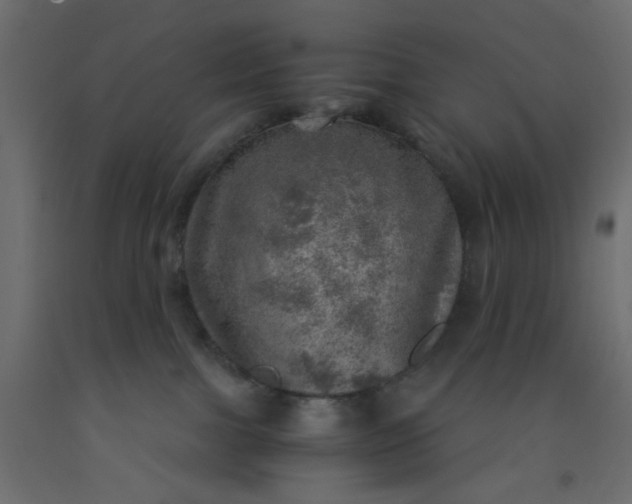 X0000093100091200710101547