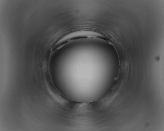 X0000093100092200710101547