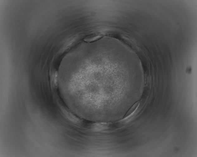 X0000093100094200710101547