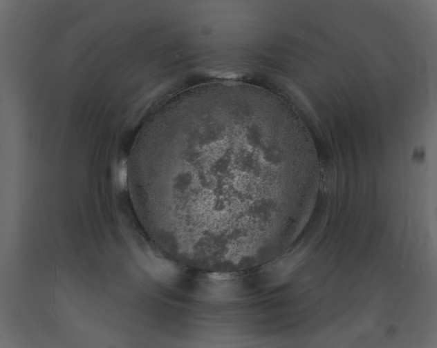 X0000093100095200710101547