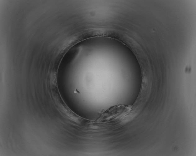 X0000093100096200710101547