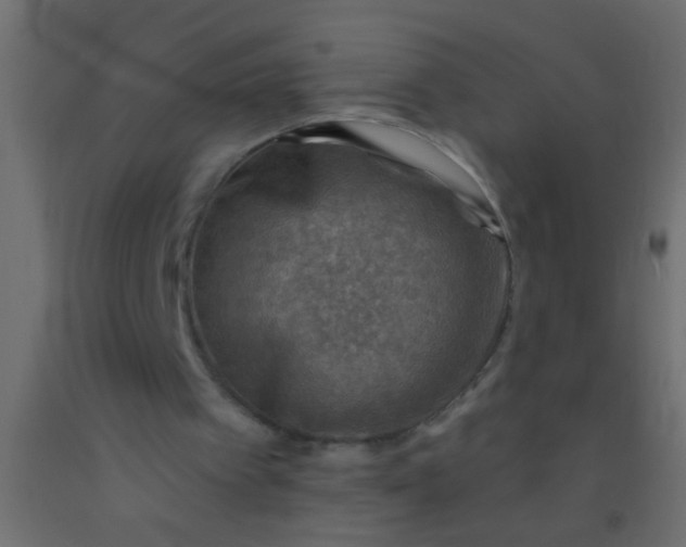 X0000093100097200710101546