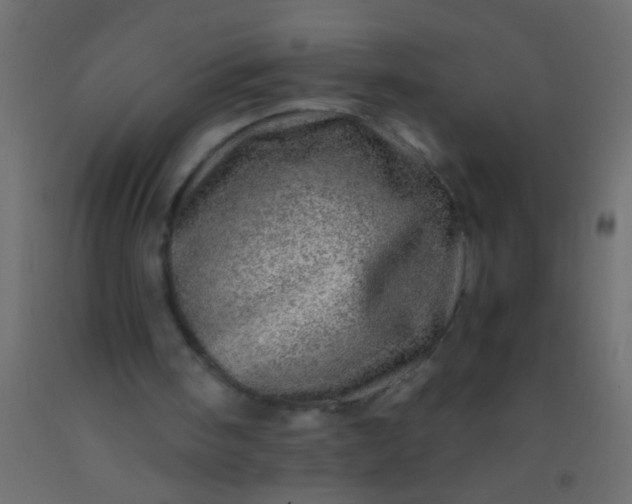 X0000093100098200710101546