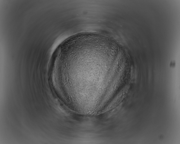 X0000093100099200710101546