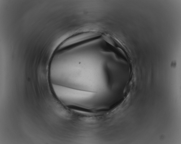 X0000093100100200710101546