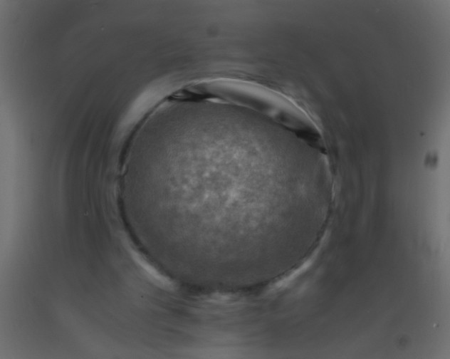 X0000093100101200710101546