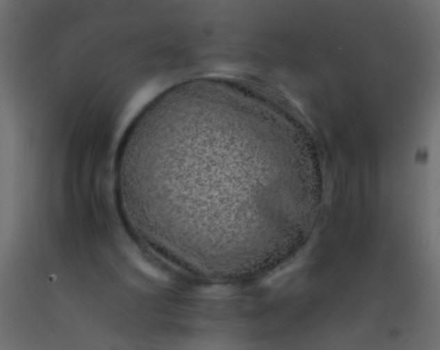X0000093100102200710101546