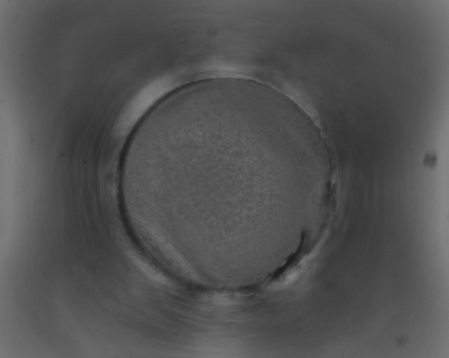 X0000093100103200710101546