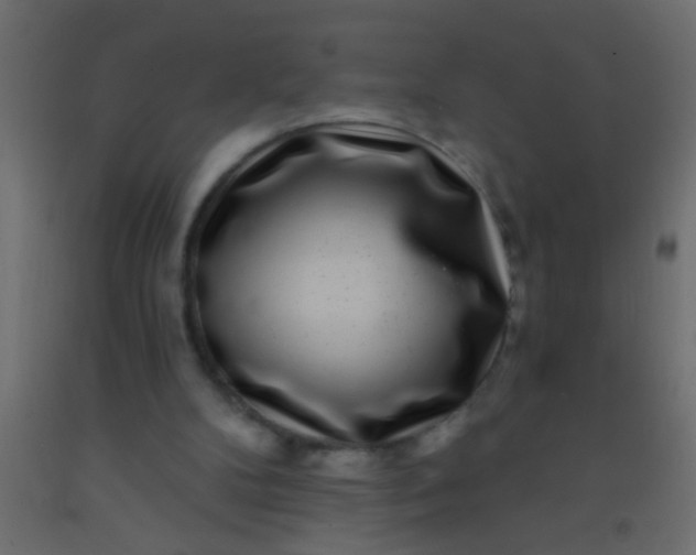 X0000093100104200710101546